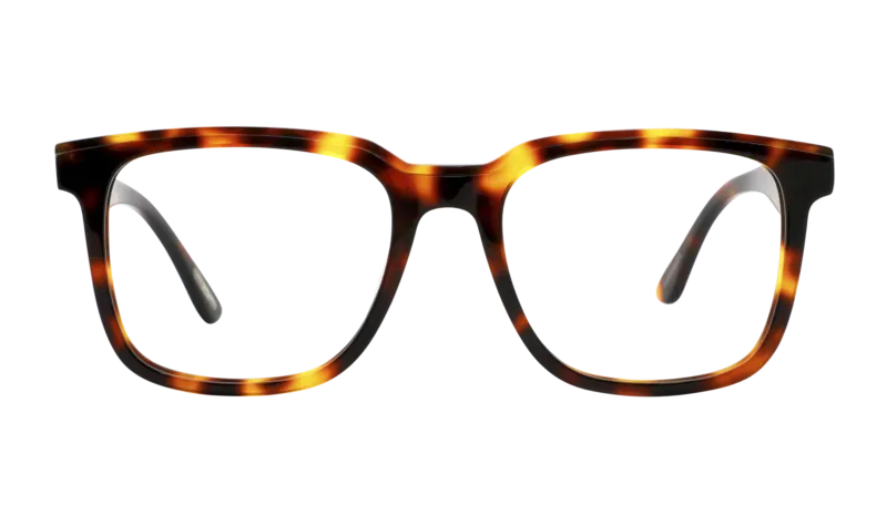 Frank & Lucie Eyewant Glasses Turtle Shade